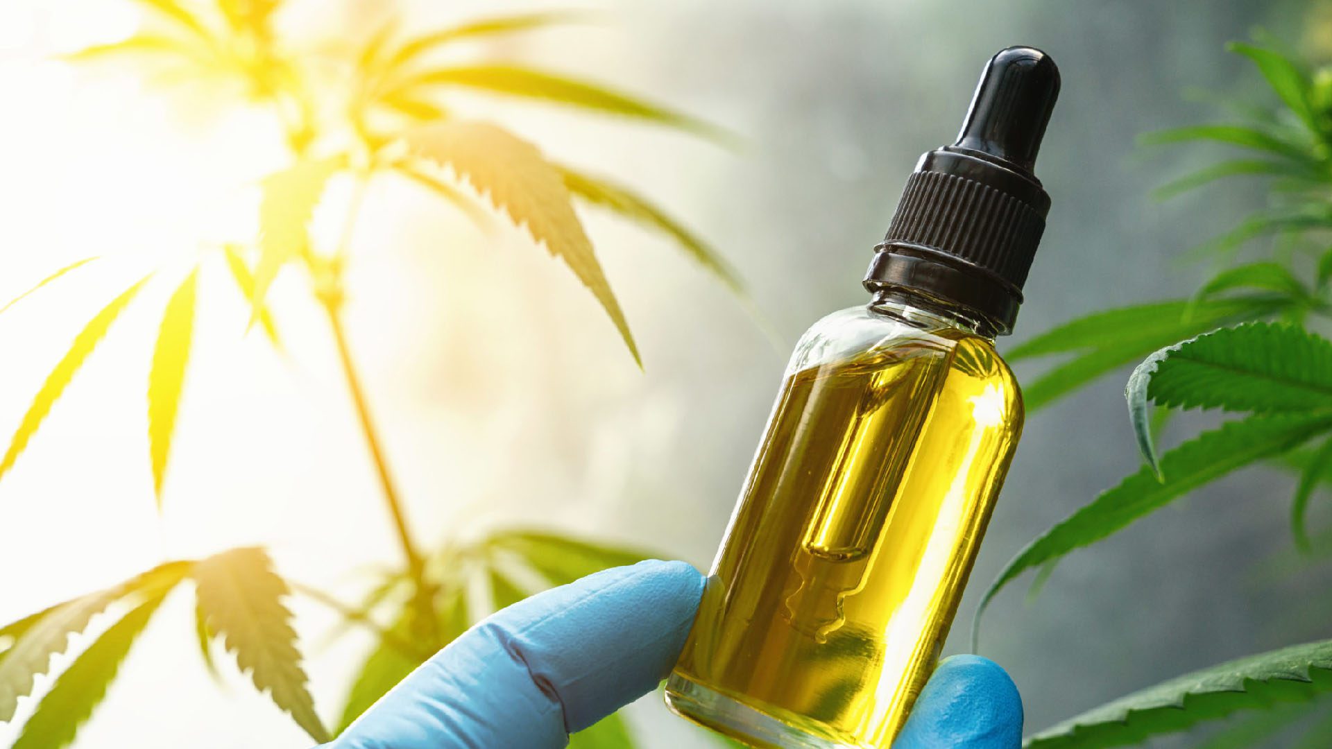 CBD چه مدت در بدن باقی می ماند؟ - CBD what