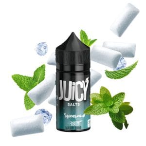 خرید سالت آدامس نعنا یخ جویسی(نستی) -  JUICY(NASTY) SPEARMINT 30ml