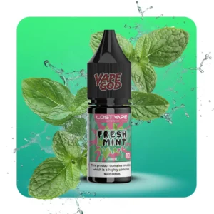 سالت نعنای تازه لاست ویپ – Lost Vape Fresh Mint 10 ML