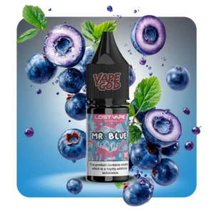 سالت بلوبری لاست ویپ – Lost Vape Mr.Blue 10 ML